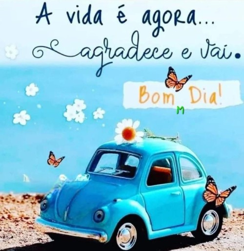 A Vida e Agora