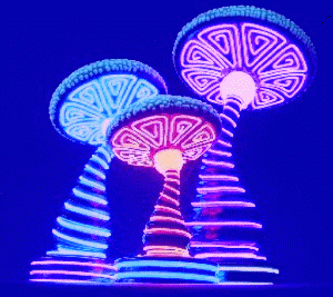 Cogumelos-Luminosos.gif