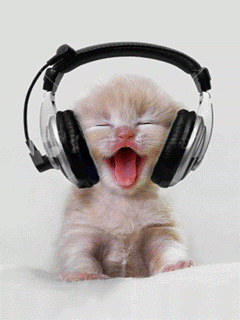 Gato-Ouvindo-Musica.gif