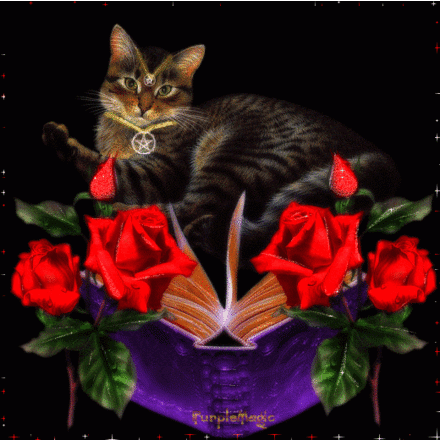 Gato-e-Flores.gif