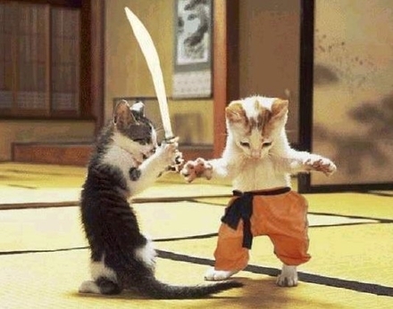 Gatos-Samurais.jpg