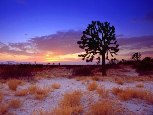 Paisagem-a-Tarde.jpg