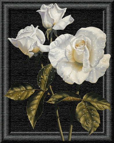 Quadro-com-Flores-Rosas-Brancas.gif