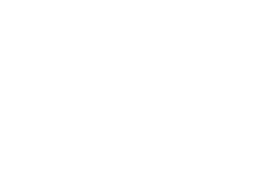 logo paranacidade transparencia branco4