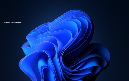 Windows-11-2.jpg